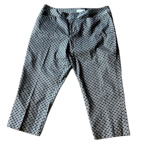 Coldwater Creek natural fit Capri Lady size 14 excellent condition - Picture 1 of 14